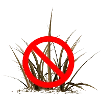 Herbisida